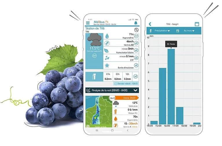 application-meteo-viticole