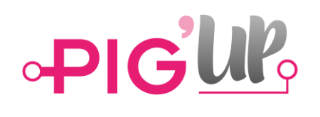 logo-pigup